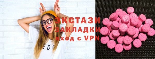 стаф Алзамай