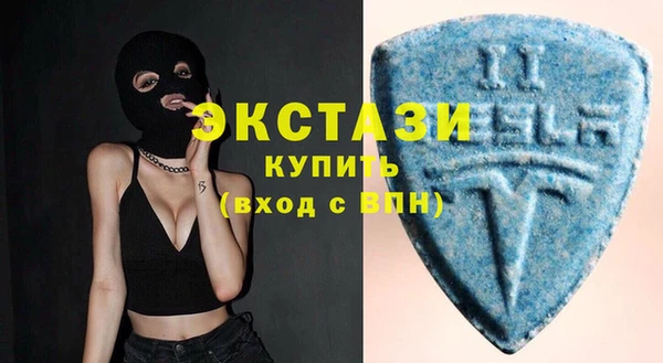 стаф Алзамай