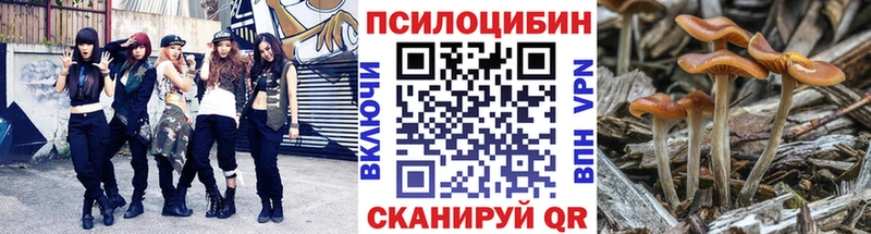 Галлюциногенные грибы Magic Shrooms  Южно-Сухокумск 